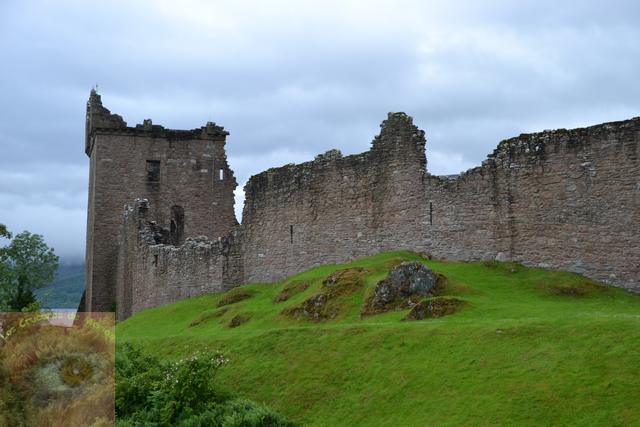 Invergordon 8